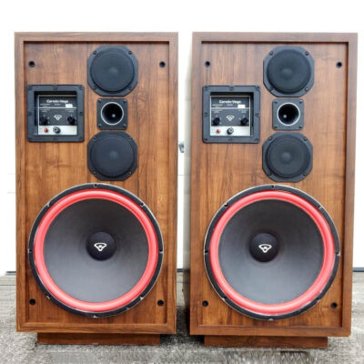 Loa Cerwin Vega D9